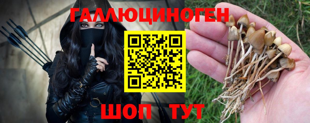 Галлюциногенные грибы Psilocybine cubensis  Вход с VPN  Ставрополь 