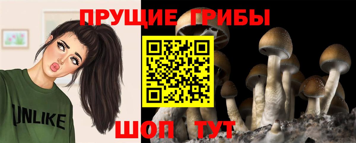 Галлюциногенные грибы Magic Shrooms Ставрополь